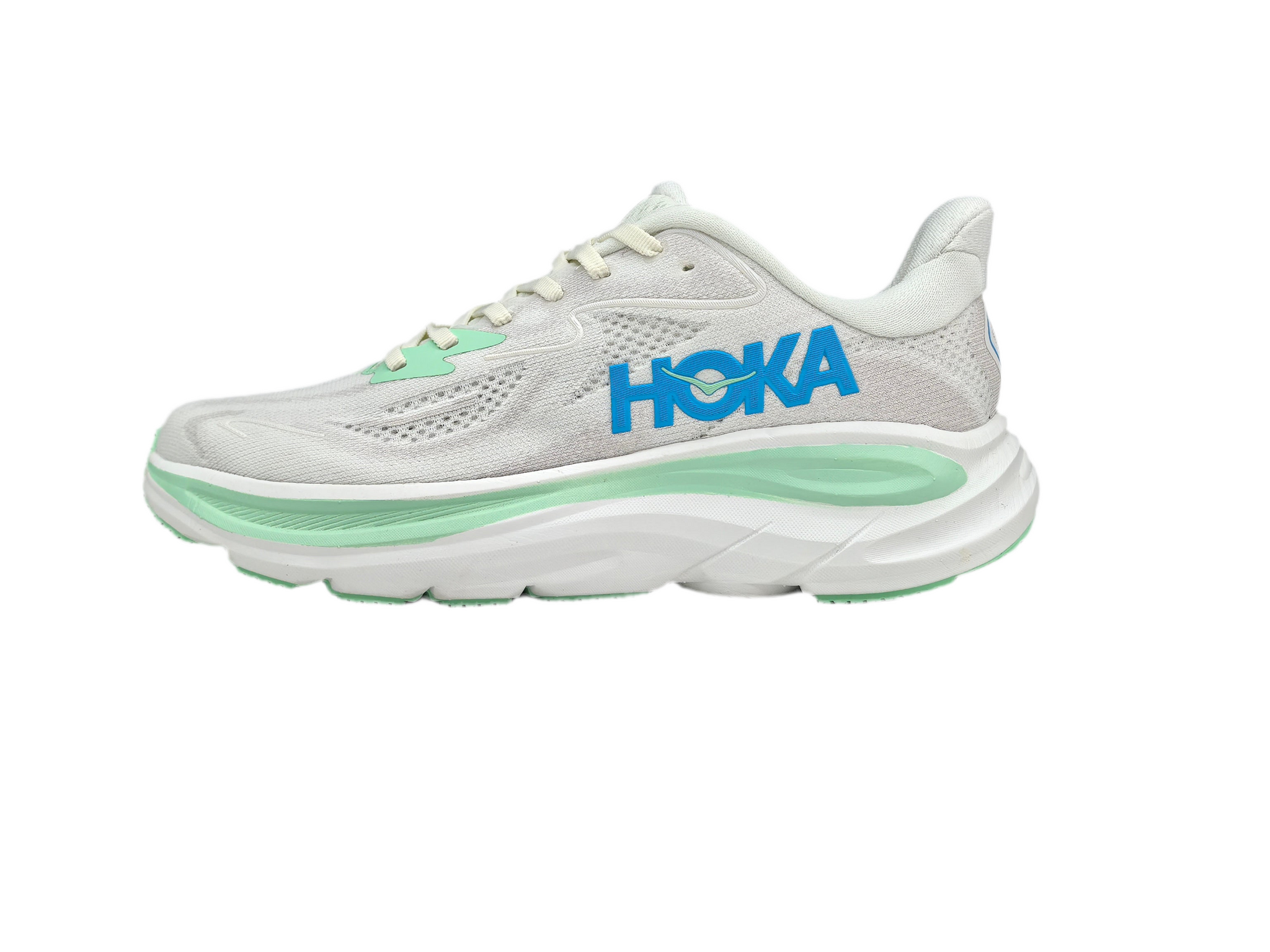 Hoka Bondi 9 Gray & Green & Blue